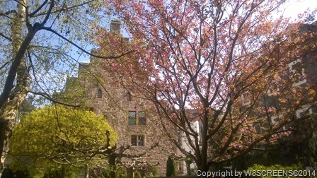 WP_20140406_12_59_49_Pro