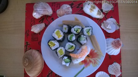 WP_20140420_12_02_22_Pro