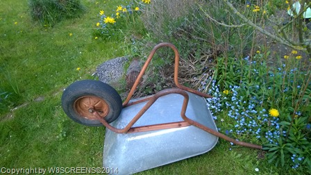 WP_20140420_13_28_07_Pro