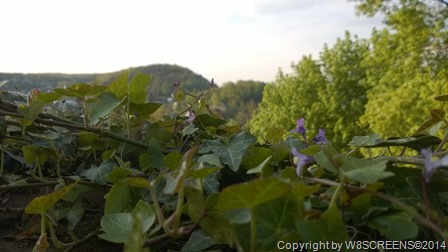 WP_20140424_18_31_07_Pro