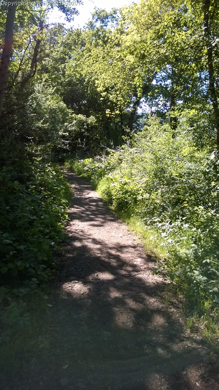 WP_20140503_16_33_26_Pro