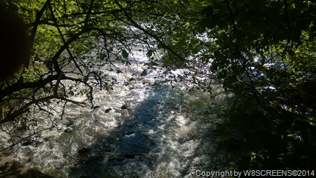 WP_20140503_17_31_22_Pro