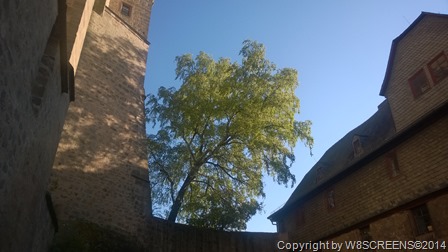 WP_20140503_18_47_05_Pro