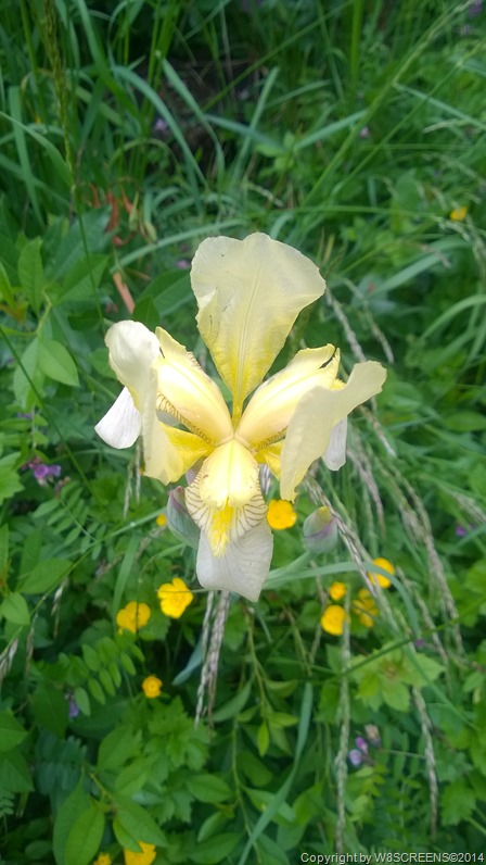 WP_20140513_16_59_08_Pro