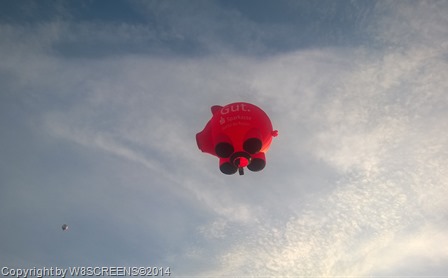 WP_20140517_20_21_43_Pro