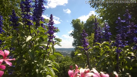 WP_20140702_15_47_09_Pro