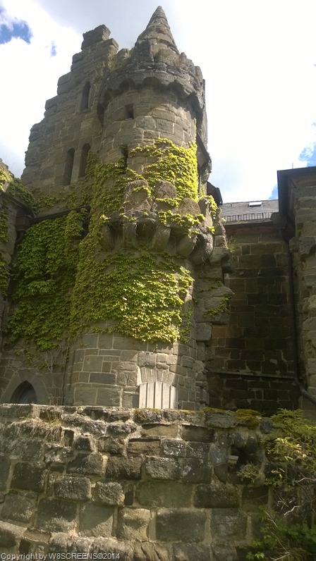 WP_20140712_12_01_10_Pro