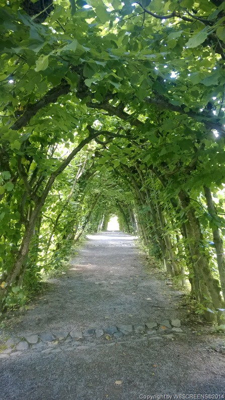 WP_20140712_12_14_02_Pro