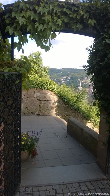 WP_20140714_054