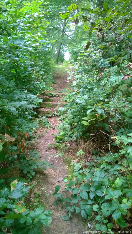 WP_20140817_15_48_35_Pro