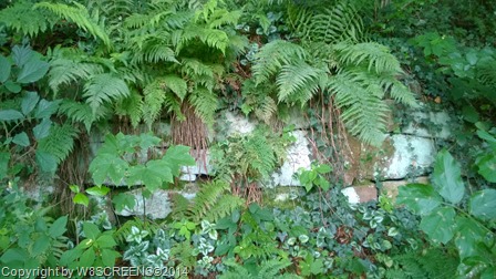 WP_20140817_15_56_08_Pro