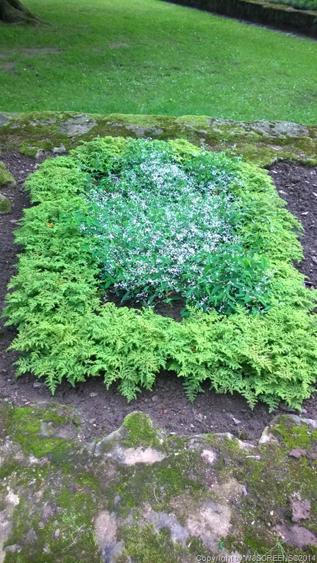 WP_20140817_16_34_34_Pro