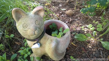 WP_20140812_09_59_34_Pro