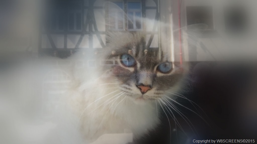 Der Wert der Weisheit