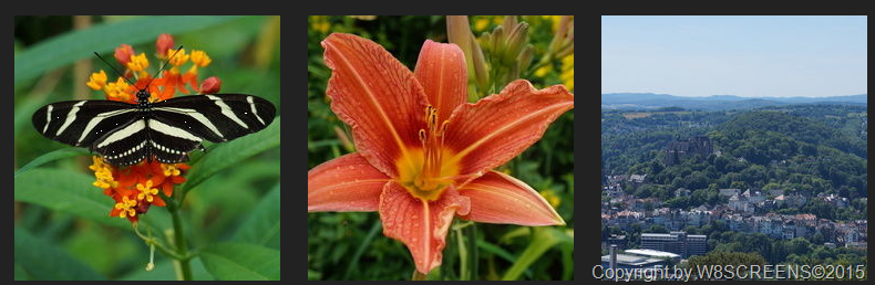 capture20151023181636217