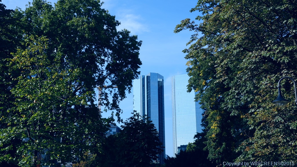 DSC03717