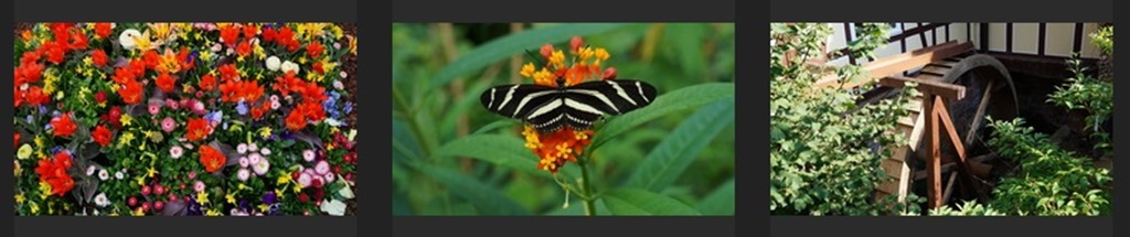 fotocommunity fotocommunity