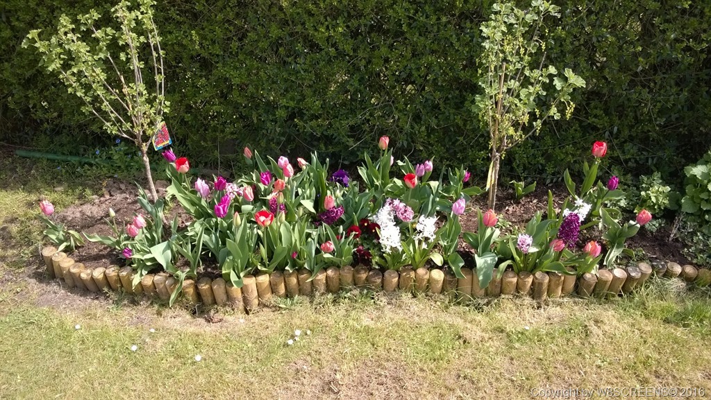 WP_20160422_13_31_50_Pro