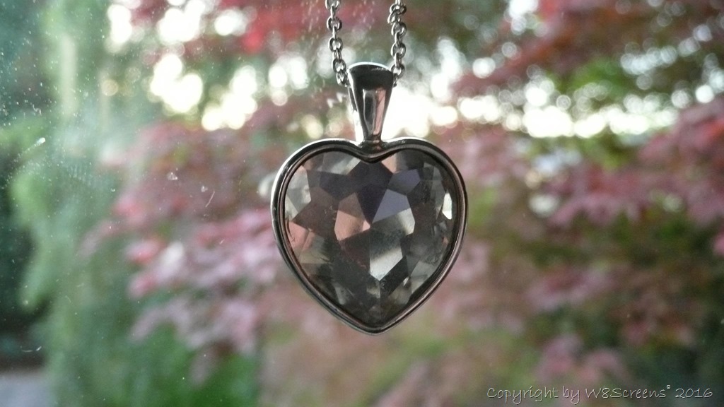 414690_298242513592892_1978978179_o