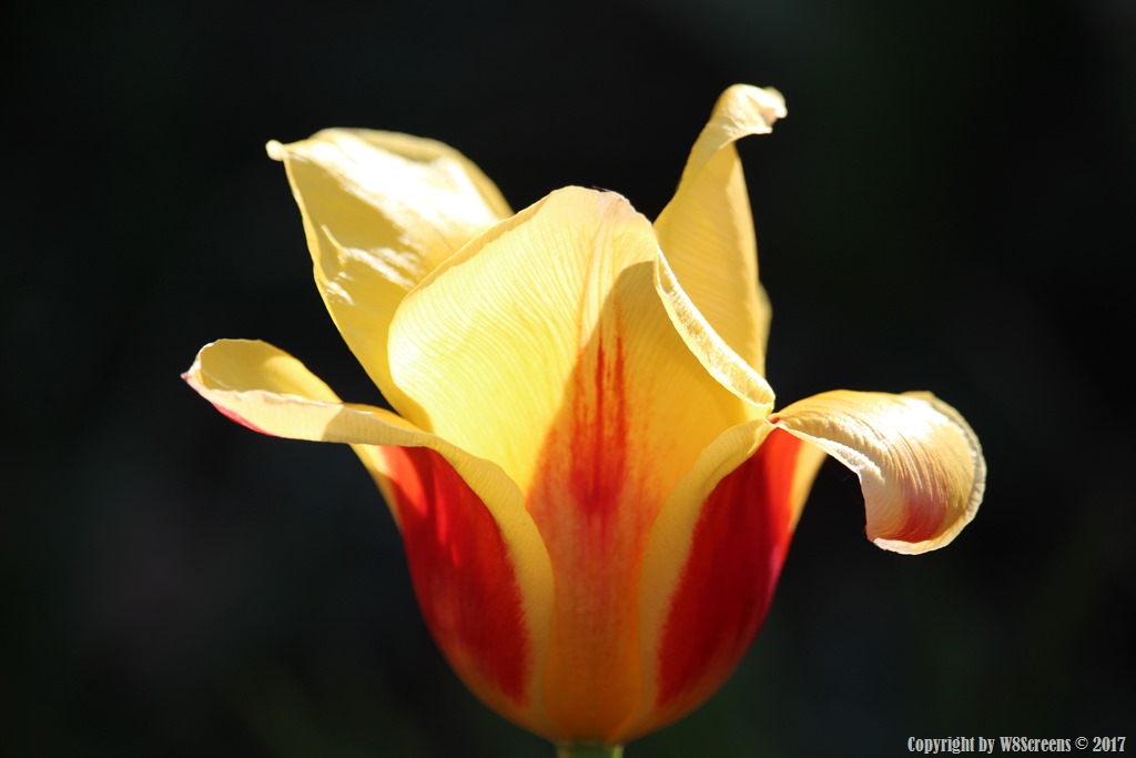 zwischen Winter und&nbsp;Sommer