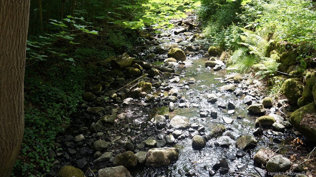 Wandel
