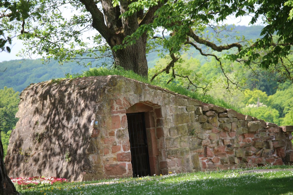 Ziel: Marburg – für mich Hügel, für andere Berge. Begleitung: Frauchen & liebe Bekannte – ein unschlagbares Trio. Ziel: Marburg – für mich Hügel, für andere Berge.
Begleitung: Frauchen & liebe Bekannte – ein unschlagbares Trio.